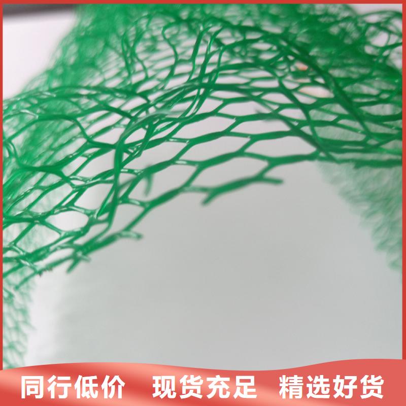 三维植被网玻纤格栅厂家品控严格