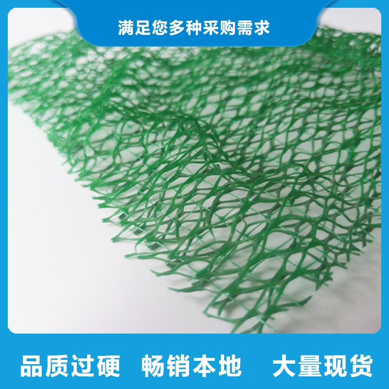三维植被网土工膜量大更优惠