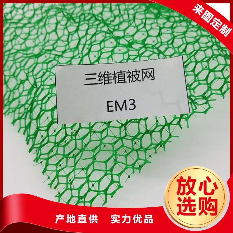 三维植被网土工膜量大更优惠
