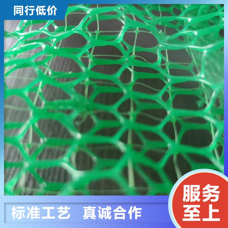 鼎诺机织布【 三维植被网_软式透水管精选优质材料】阿奇乐乐
