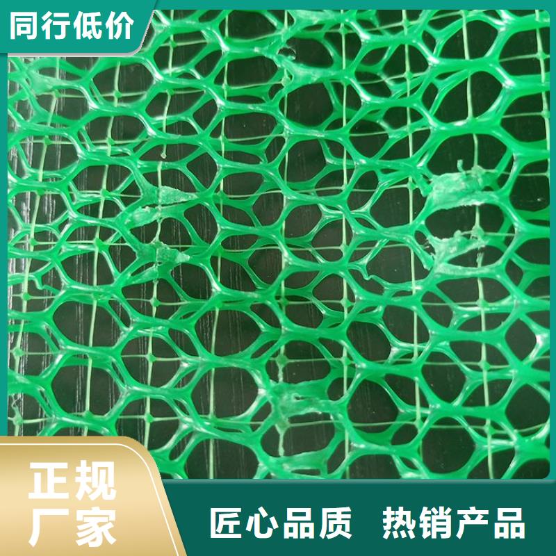 三维植被网土工膜品牌大厂家