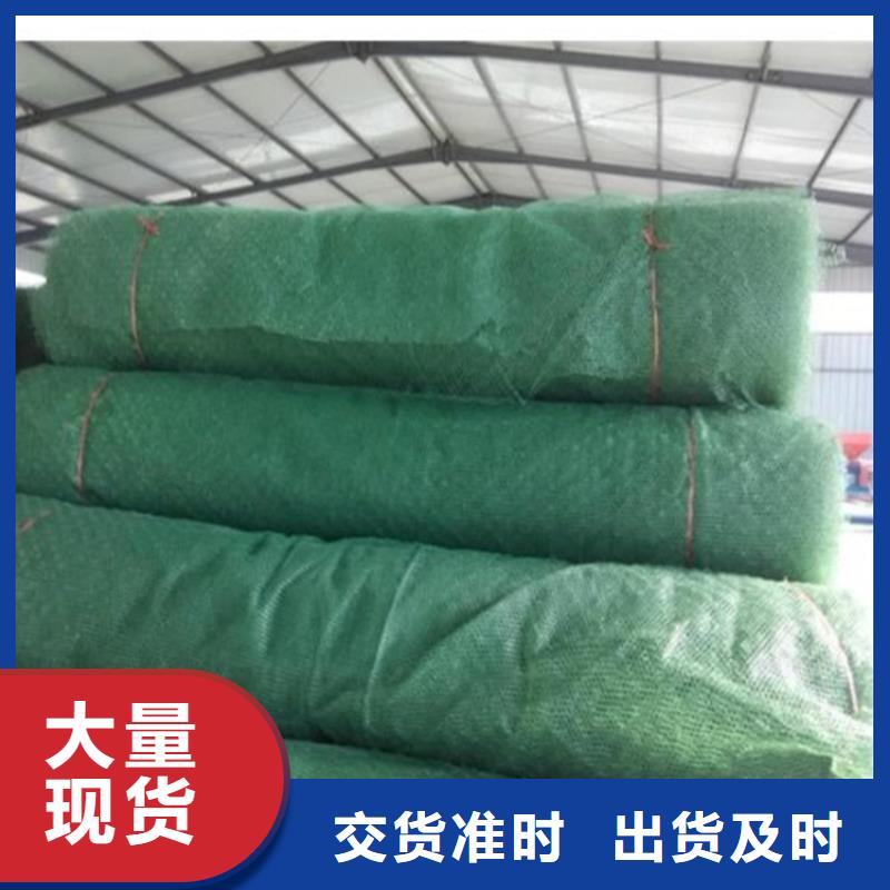 三维植被网聚酯布高品质现货销售
