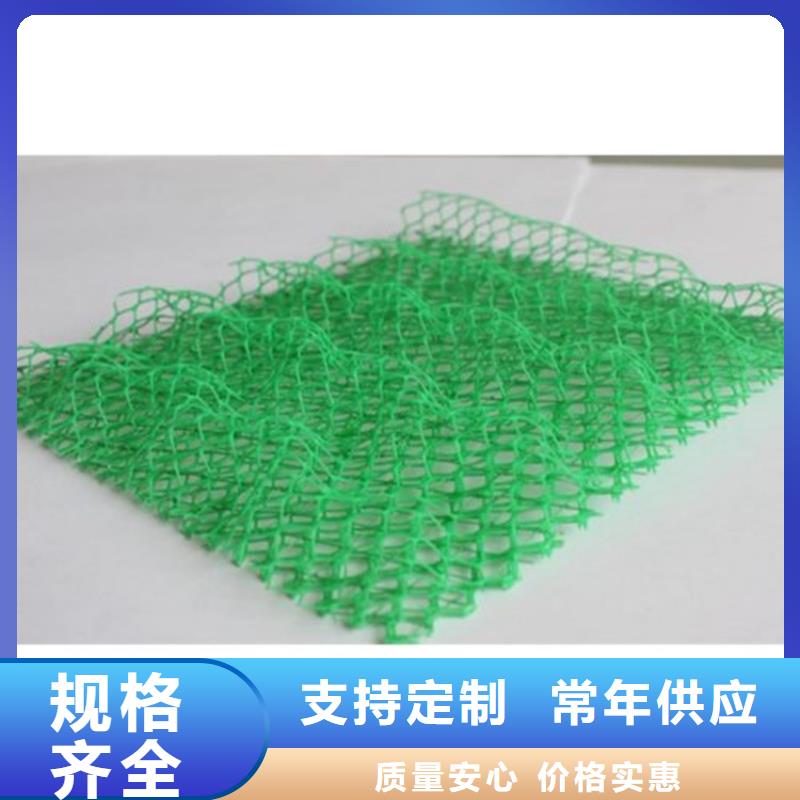 三维植被网土工格栅讲信誉保质量