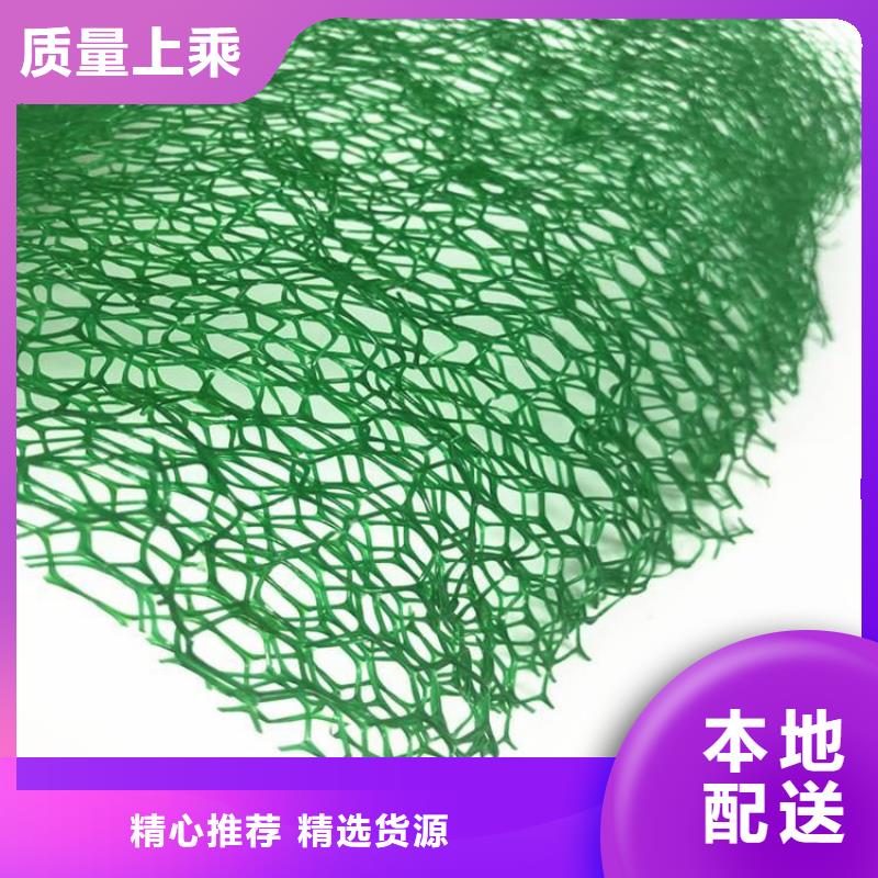 三维植被网软式透水管精心选材