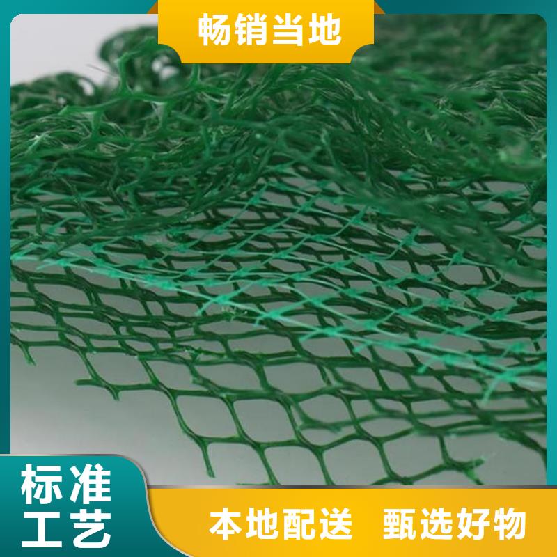 【三维植被网塑料盲沟支持货到付清】