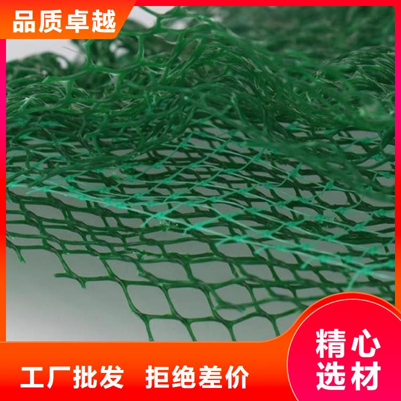 三维植被网土工格栅讲信誉保质量
