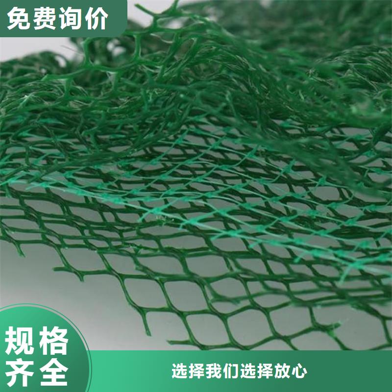 三维植被网,生态带厂家自营