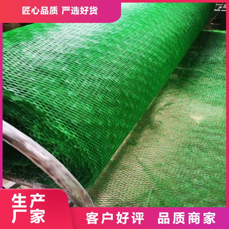 三维植被网玻纤格栅厂家品控严格