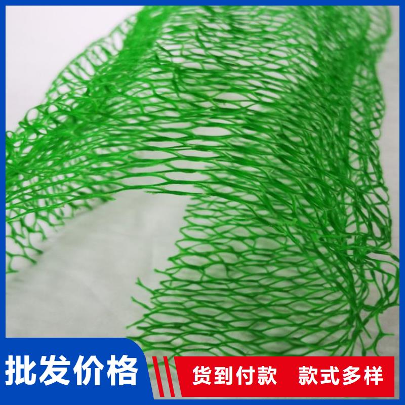 三维植被网土工膜品牌大厂家