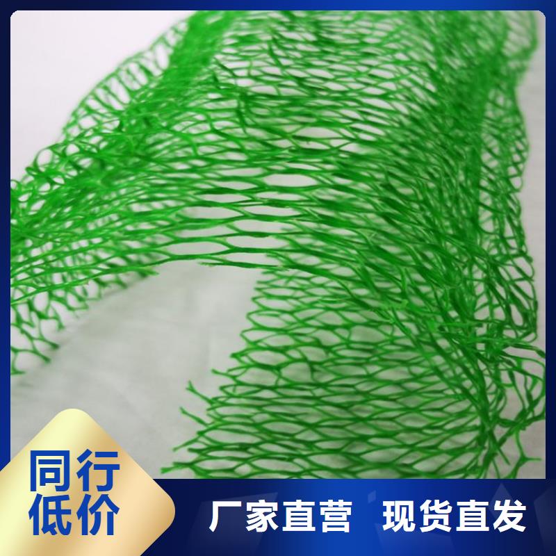 三维植被网土工布厂家