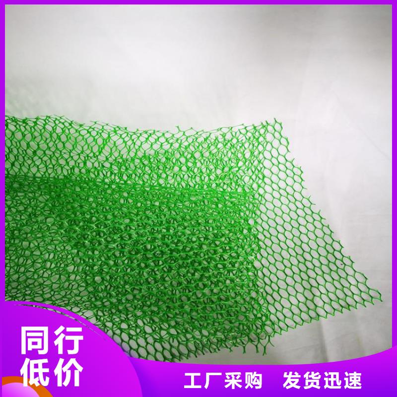 三维植被网网格布好厂家有担当