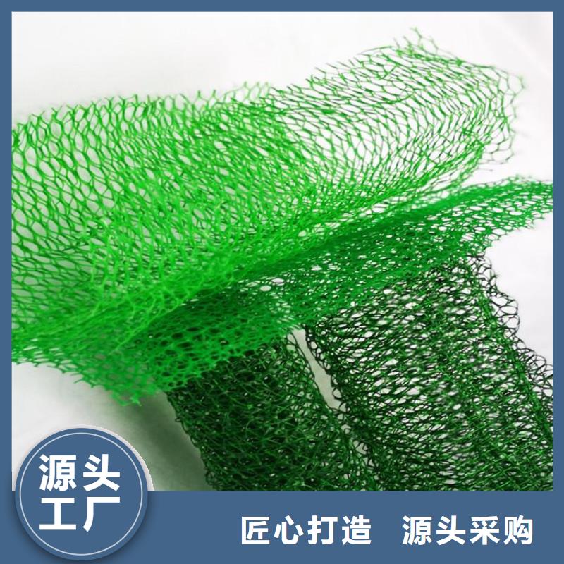 三维植被网-防渗膜自有生产工厂