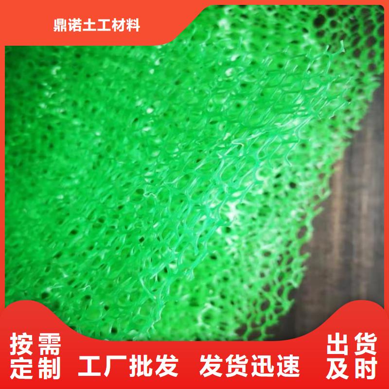 三维植被网土工膜量大更优惠