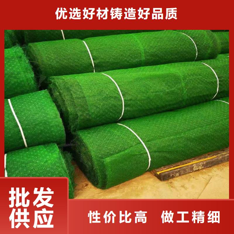三维植被网土工布厂家