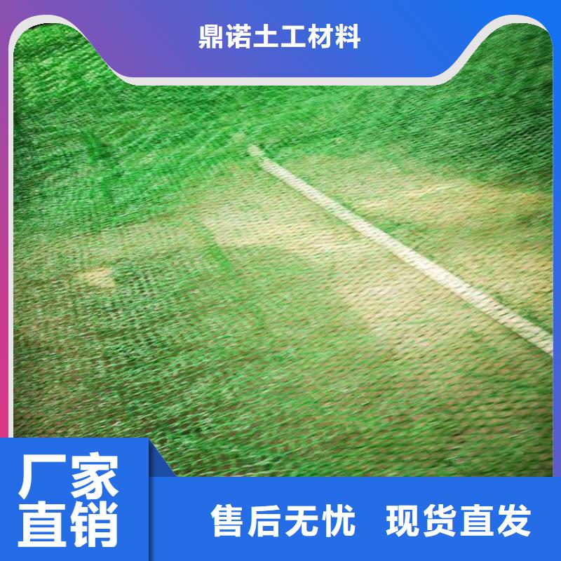 三维植被网土工布厂家