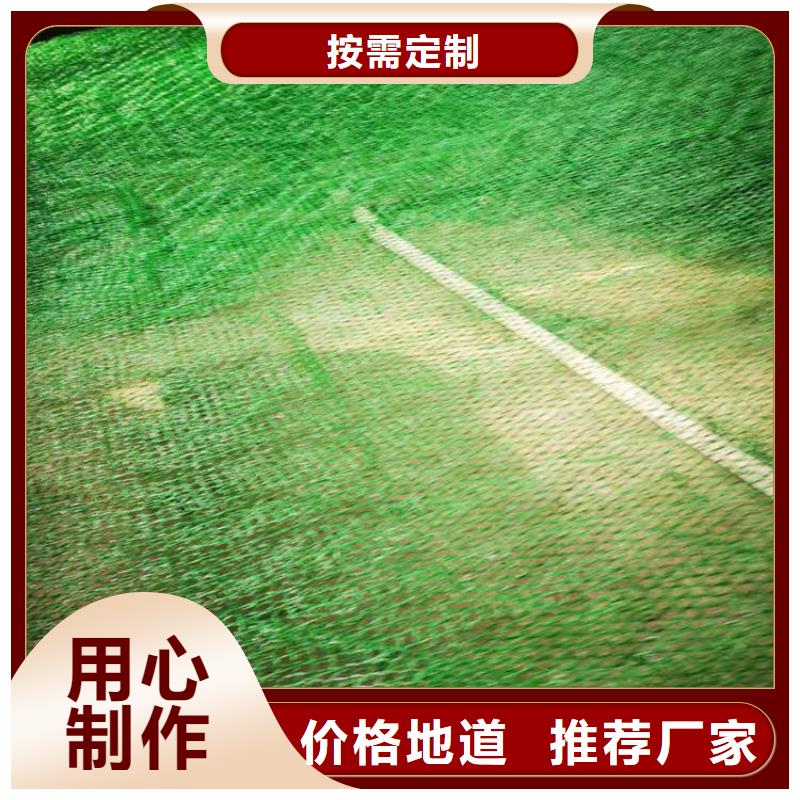 三维植被网土工膜品牌大厂家