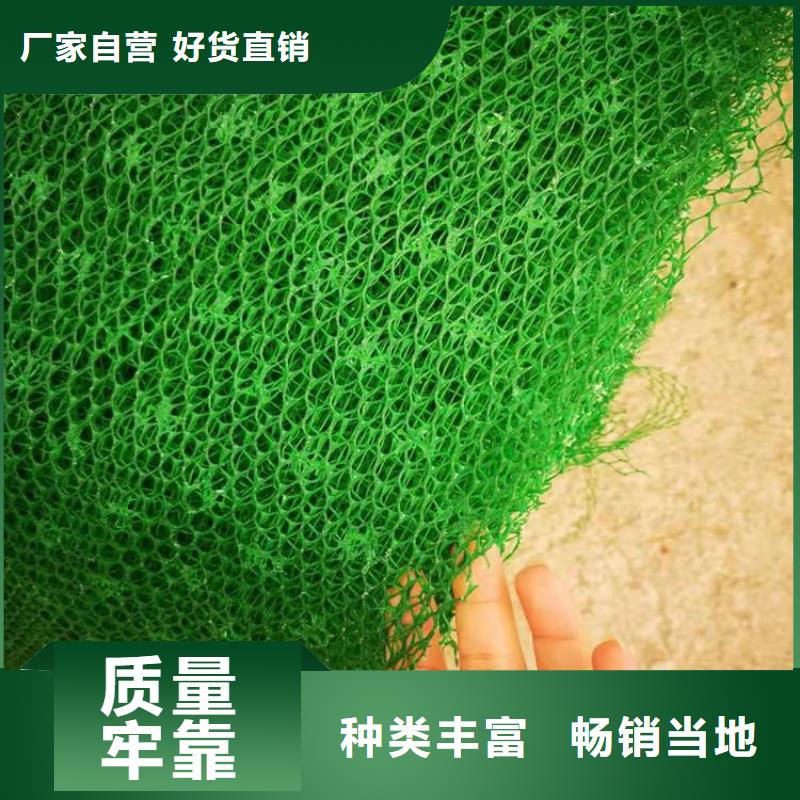 三维植被网聚酯布高品质现货销售