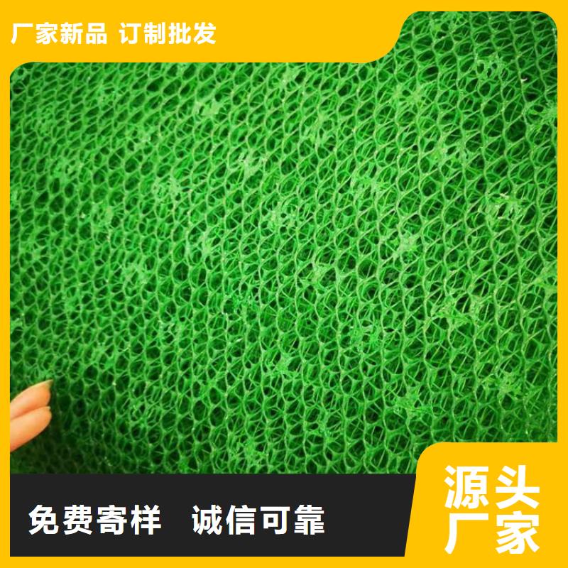 三维植被网土工膜品牌大厂家