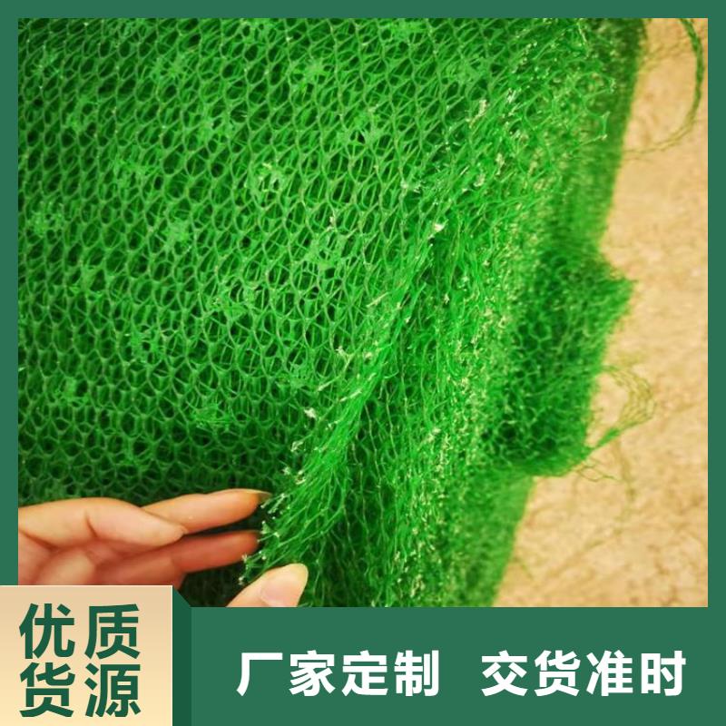 三维植被网土工布专业生产厂家