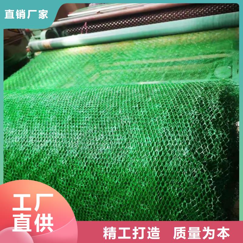 三维植被网,生态带厂家自营