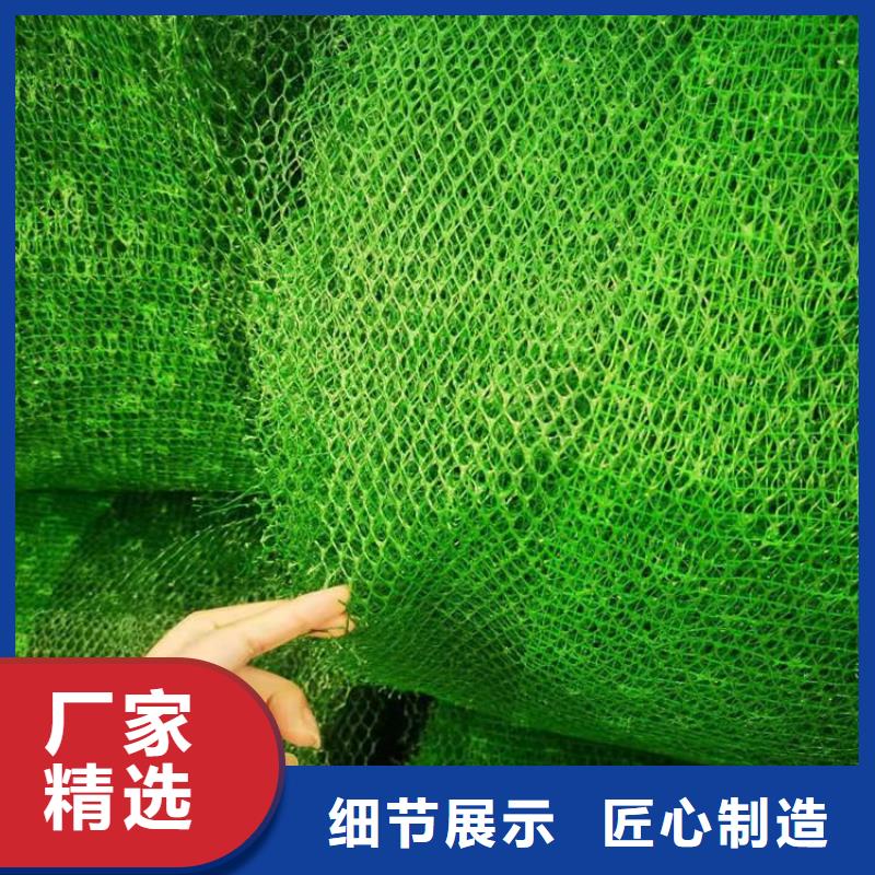 三维植被网_【防渗膜】品牌大厂家