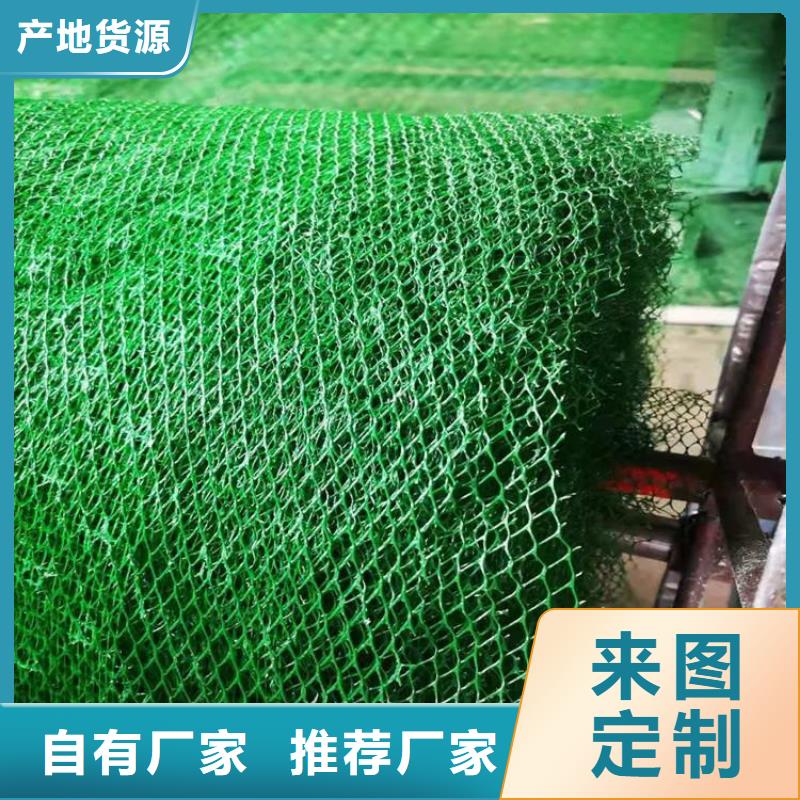 三维植被网_【防渗膜】品牌大厂家