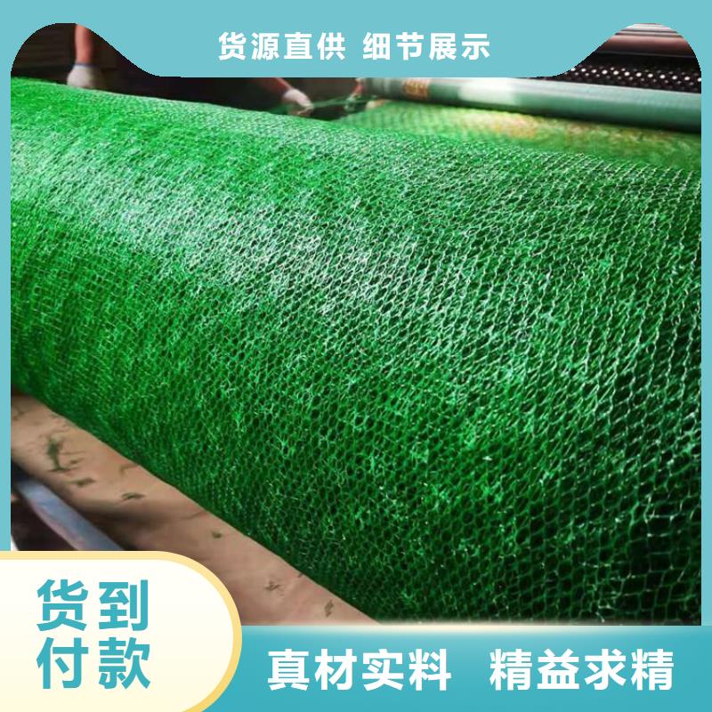 三维植被网_【防渗膜】品牌大厂家