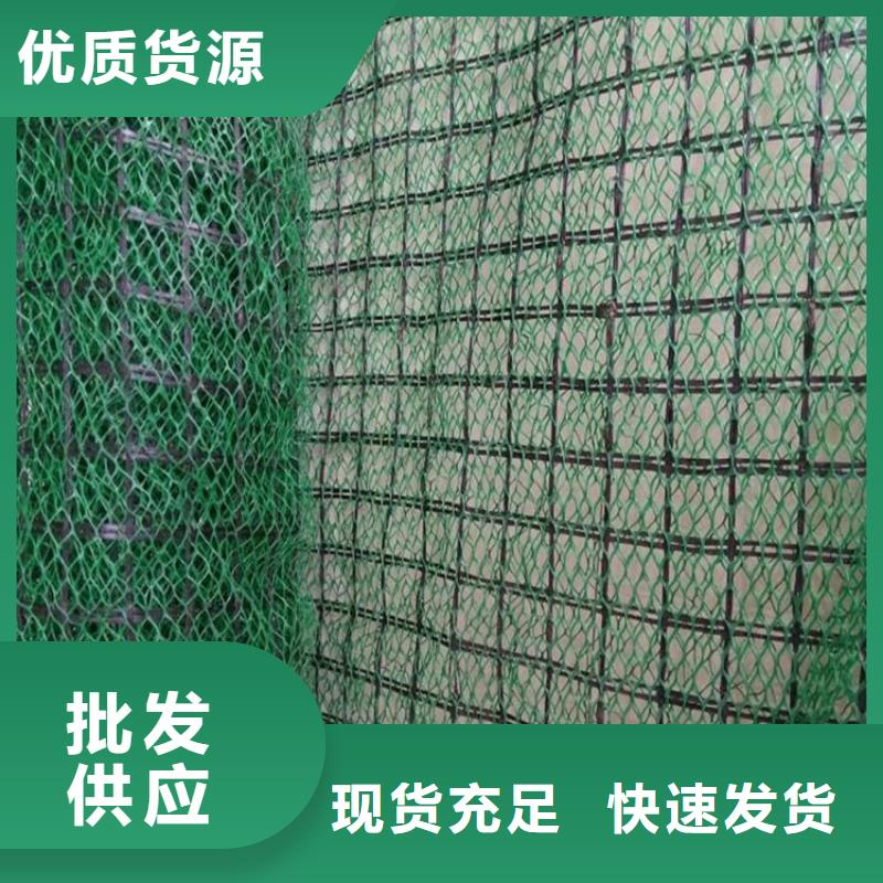 三维植被网土工布厂家