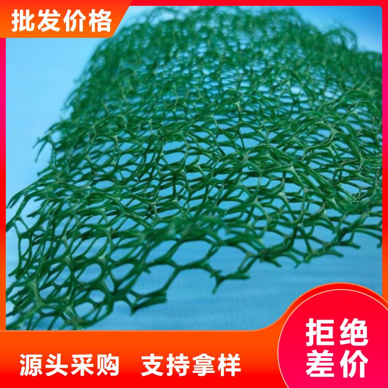 三维植被网,玻纤格栅快捷物流