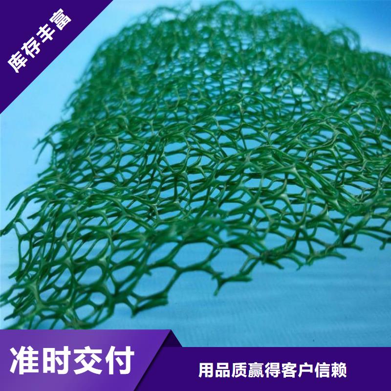 三维植被网软式透水管精心选材