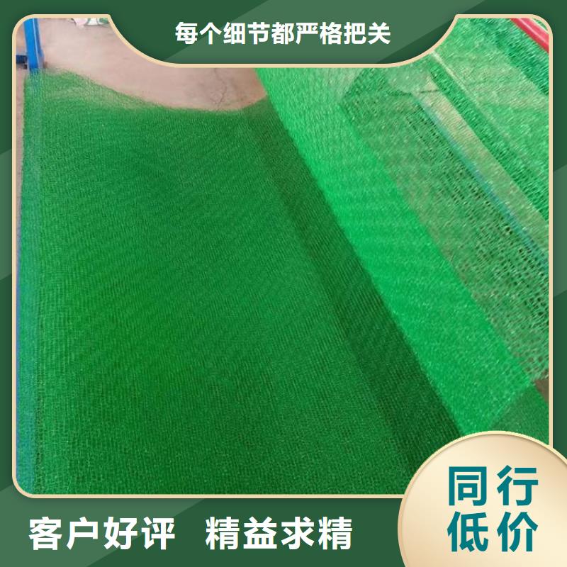 鼎诺机织布三维植被网【防水板】质检合格出厂