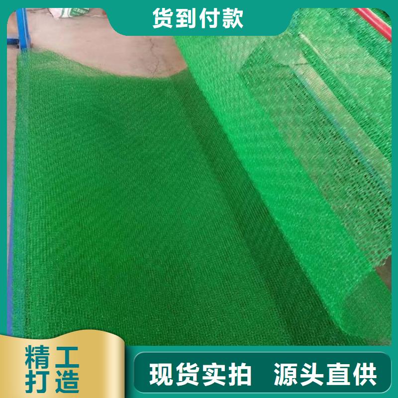 三维植被网 【土工膜】质检合格出厂-鼎诺土工材料(湘西市分公司)|覆盖地域保靖|古丈|长沙|邵阳|常德|益阳|岳阳|永州|娄底
