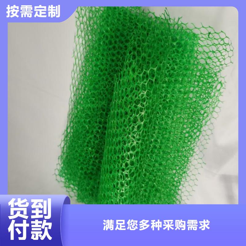 【三维植被网防渗膜精心选材】