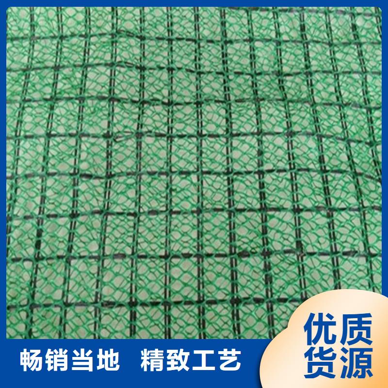 三维植被网土工膜品牌大厂家