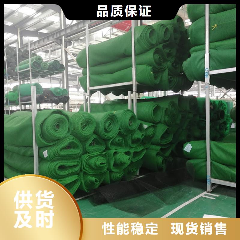 鼎诺机织布三维植被网【防水板】质检合格出厂
