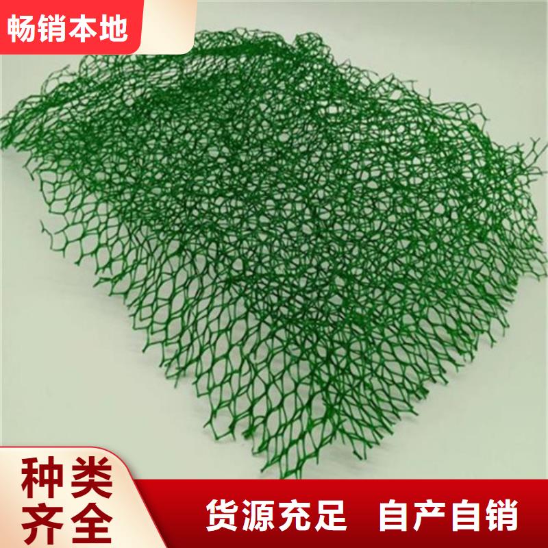 三维植被网HDPE土工膜48小时发货