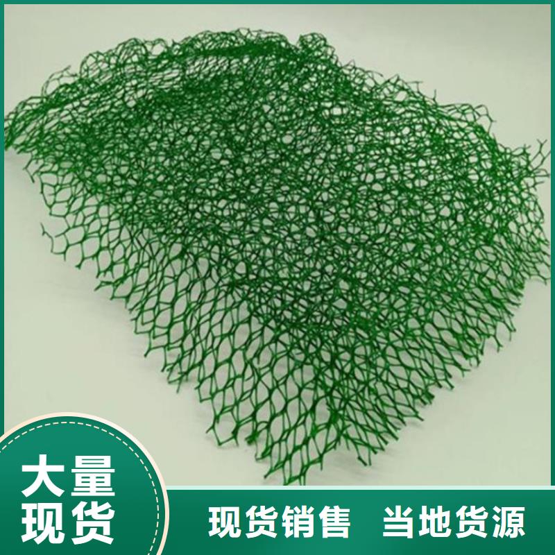 三维植被网土工膜量大更优惠