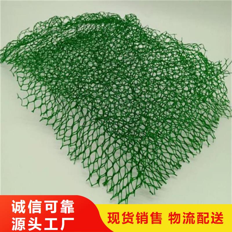 鼎诺机织布三维植被网【防水板】质检合格出厂