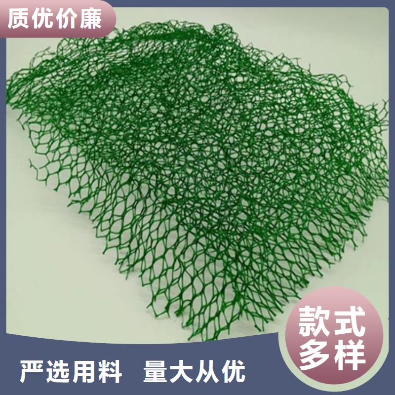 三维植被网,土工布实力大厂家