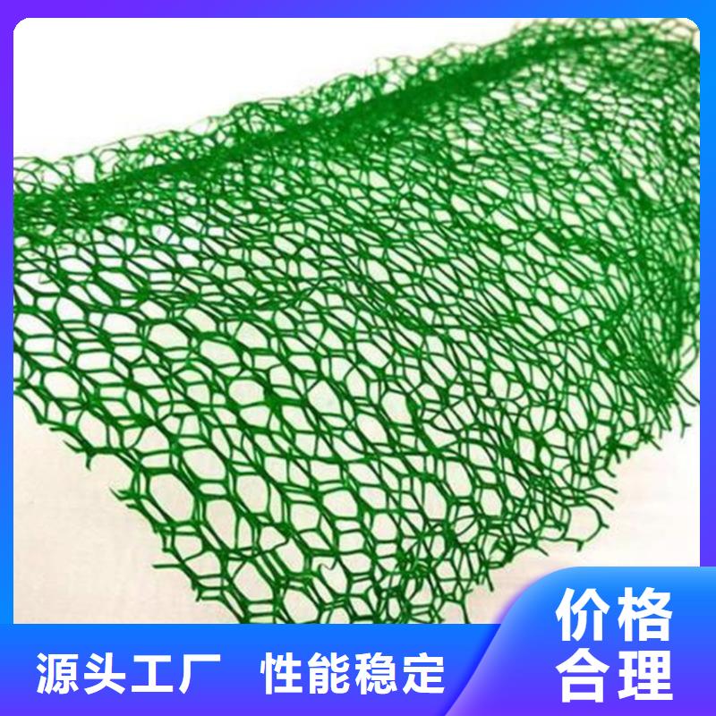 三维植被网土工格栅讲信誉保质量