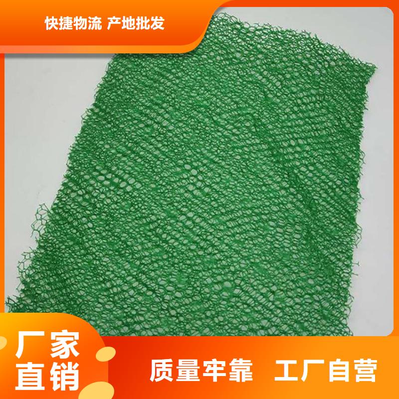三维植被网HDPE土工膜48小时发货