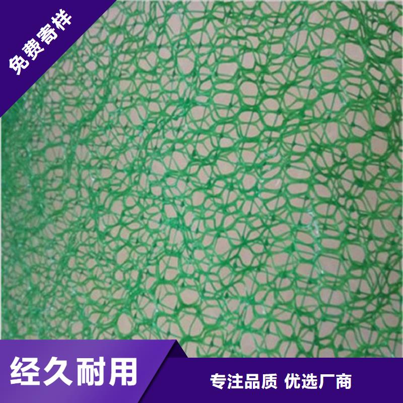 【三维植被网防渗膜精心选材】