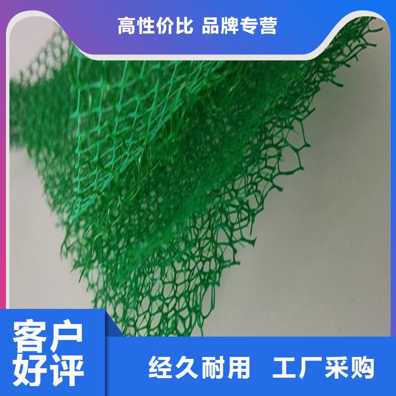 三维植被网土工膜量大更优惠