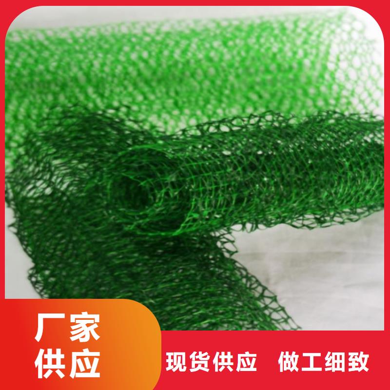 三维植被网土工膜品牌大厂家