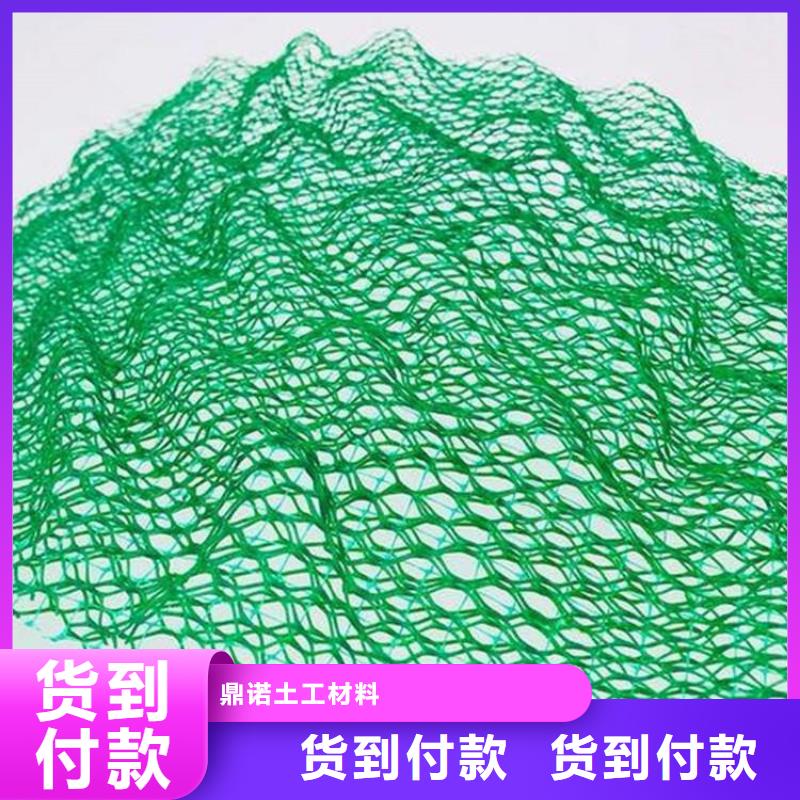 三维植被网土工布厂家