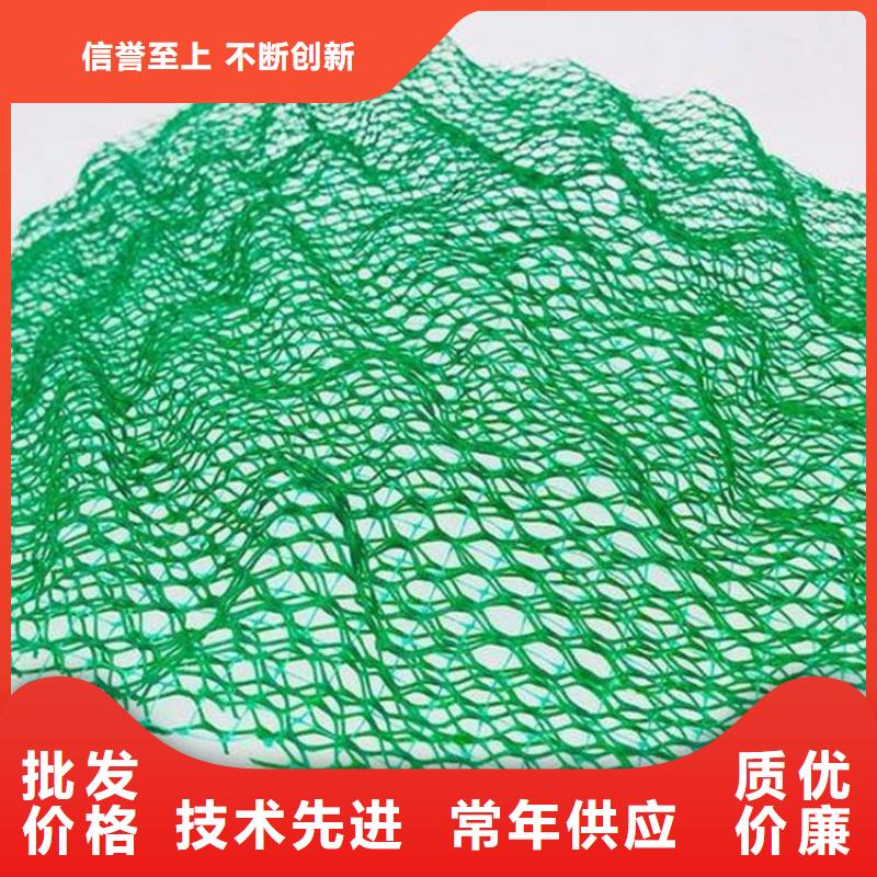 【三维植被网防渗膜精心选材】