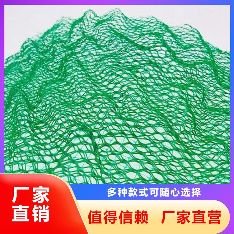 三维植被网聚酯布高品质现货销售