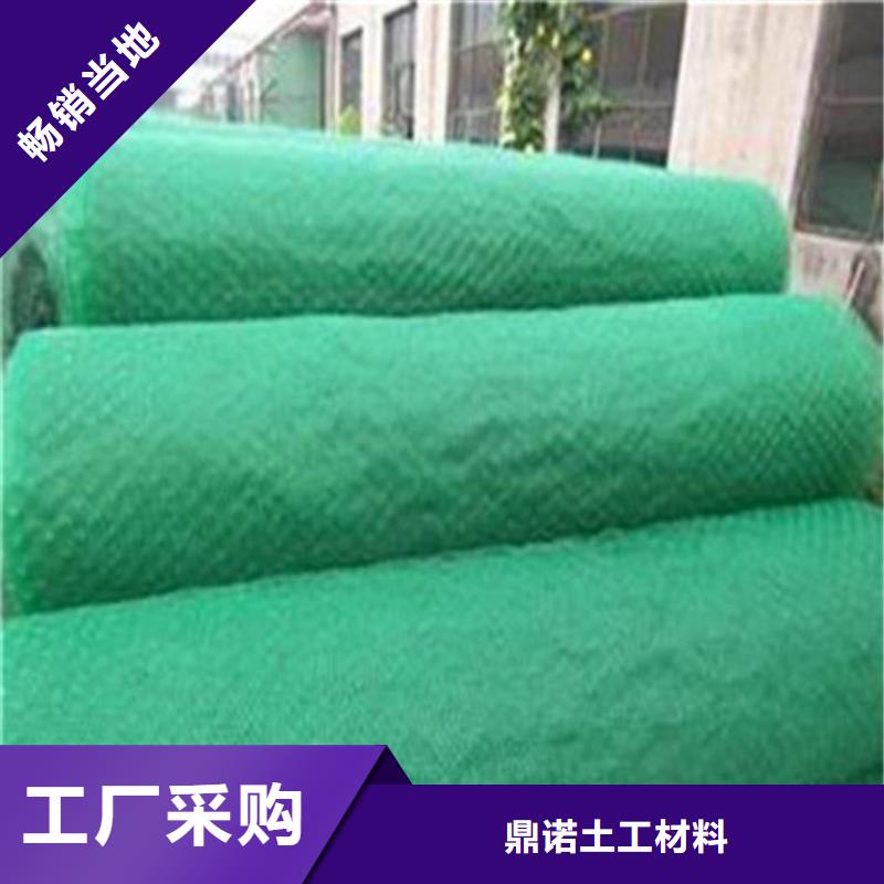 三维植被网,土工布实力大厂家
