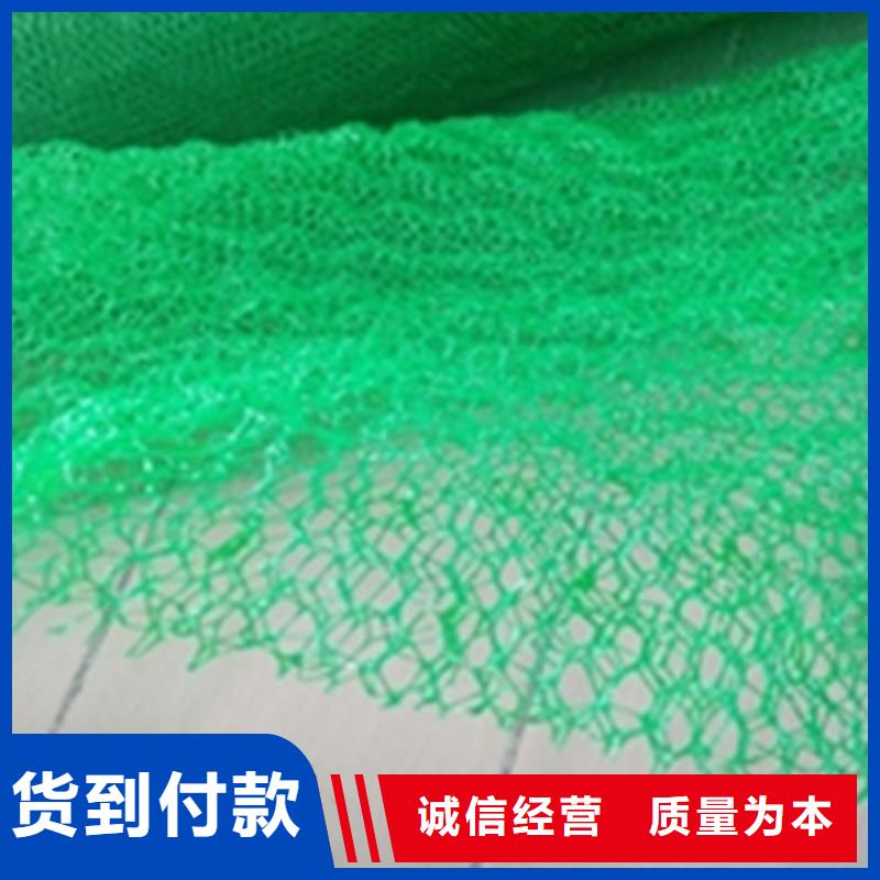 三维植被网HDPE土工膜48小时发货