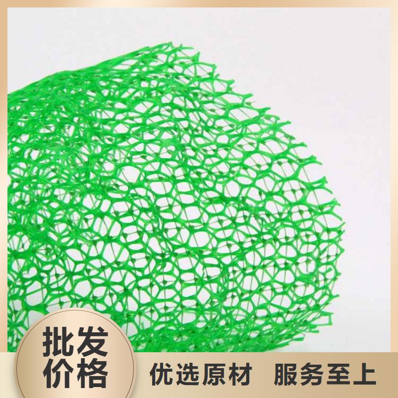 三维植被网_【防渗膜】品牌大厂家